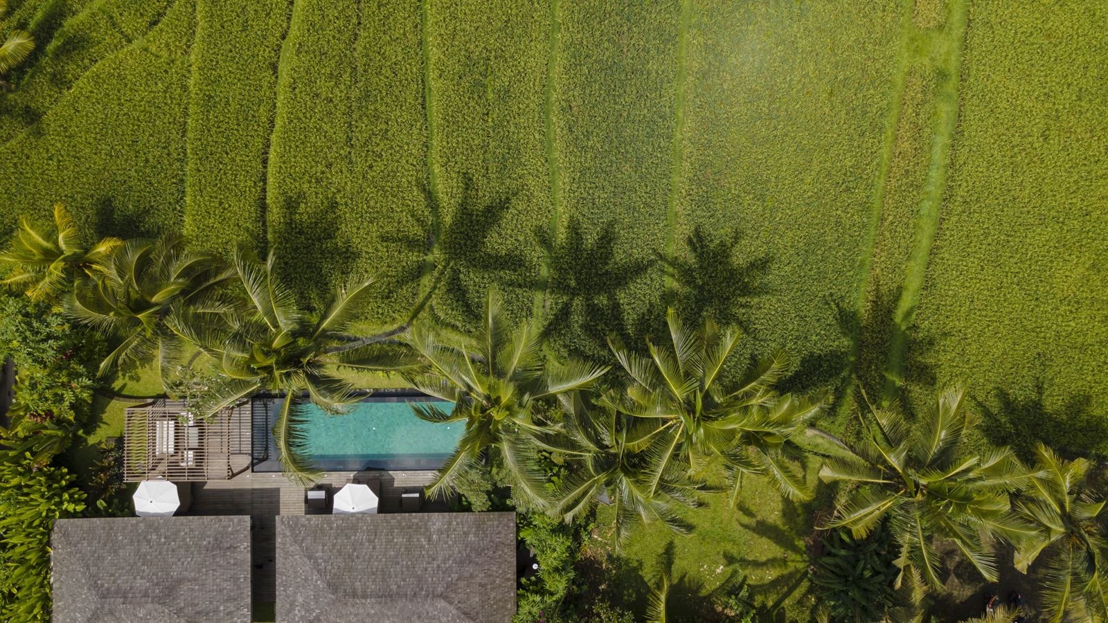 rooms-two-bedroom-pool-villa