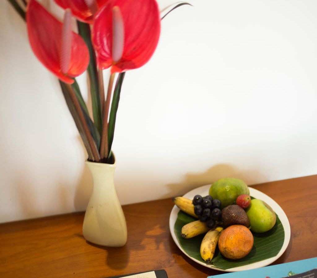 rooms-paddy-view-room