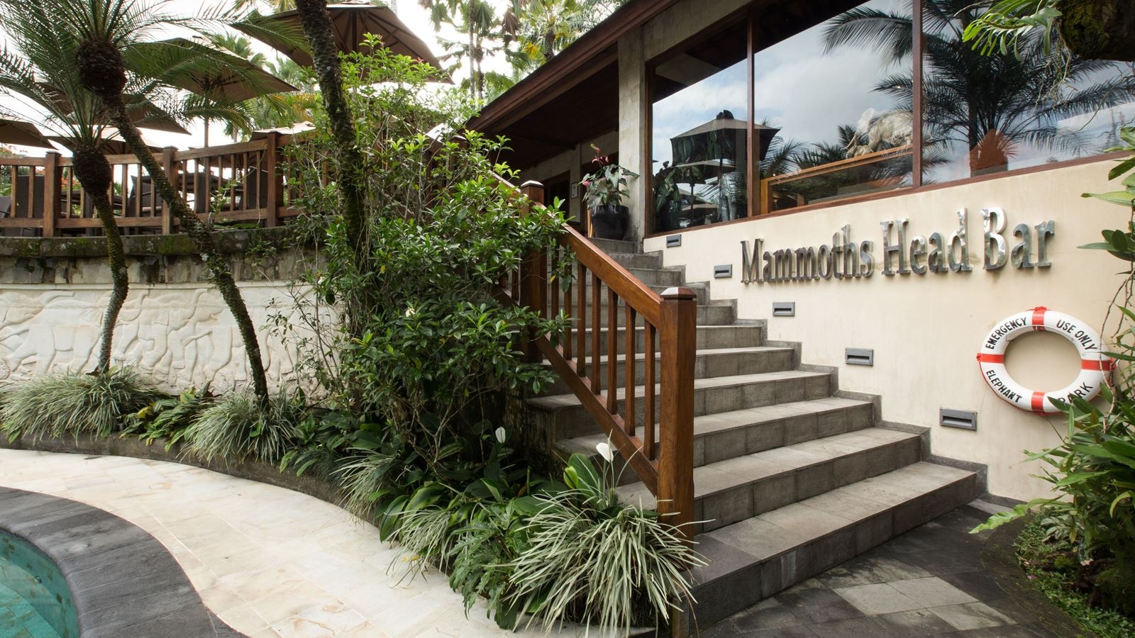 restaurants-mammoth-head-bar