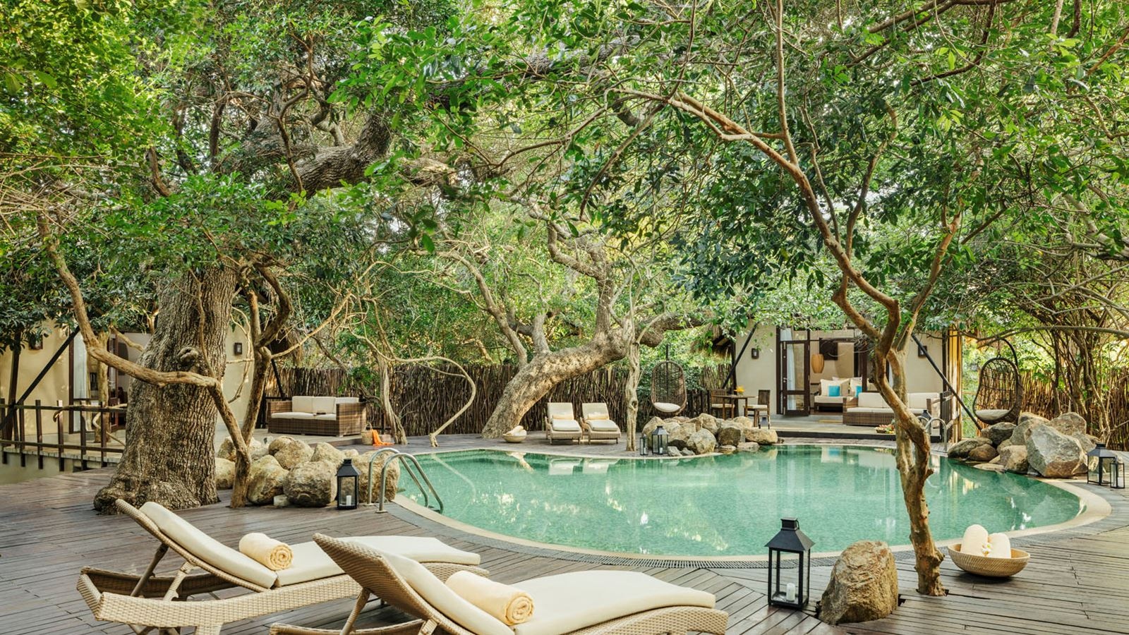 rooms-jungle-cluster-cabin