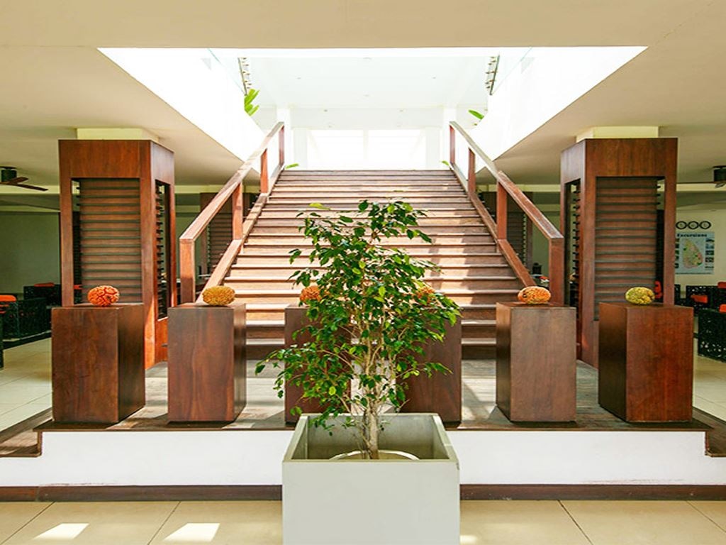 restaurants-pips-n-sips