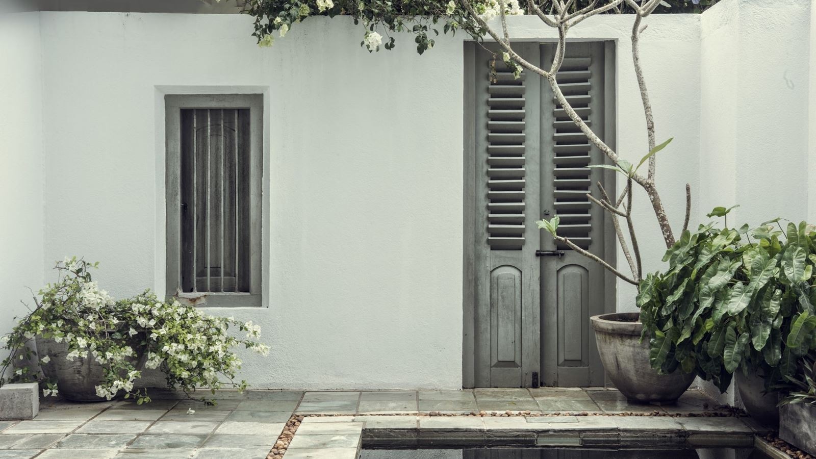 rooms-master-bedroom-with-plunge-pool