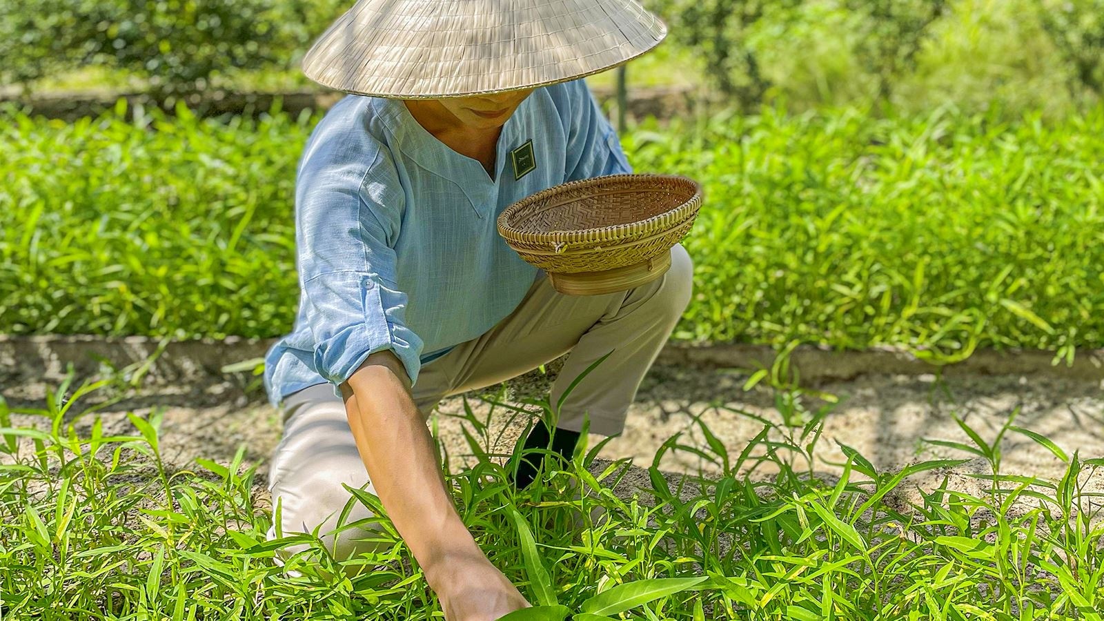 restaurants-fresh-restaurant