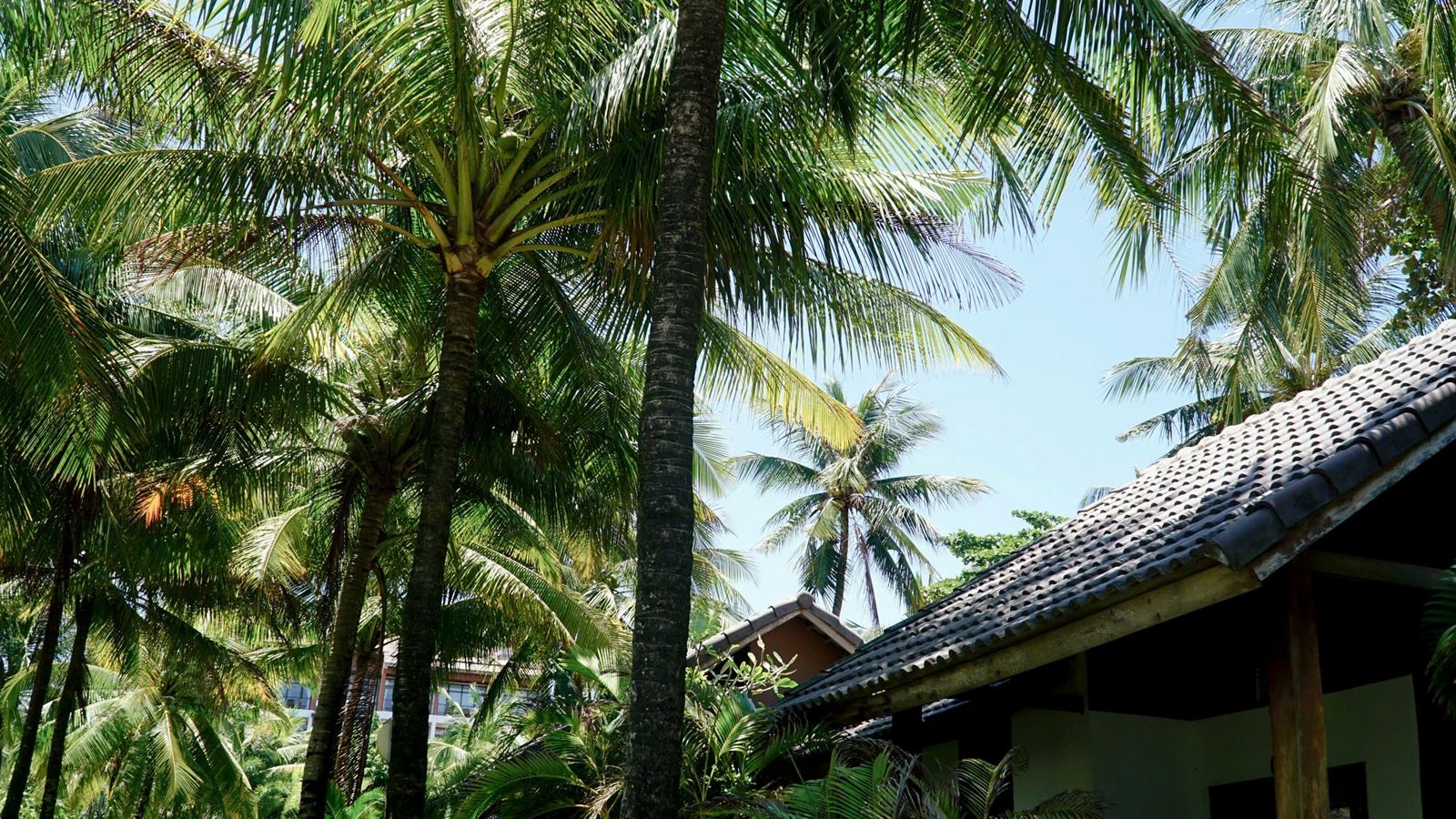rooms-beach-front-double-with-balcony-child-without-extra-bed