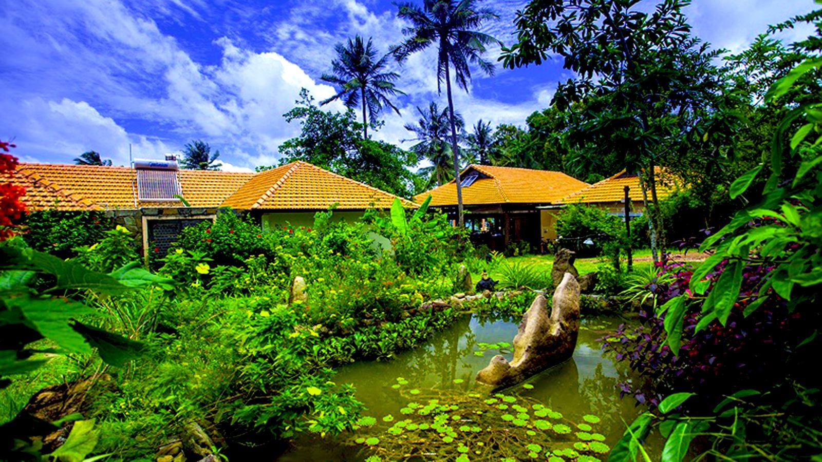 rooms-superior-bungalow-garden-view