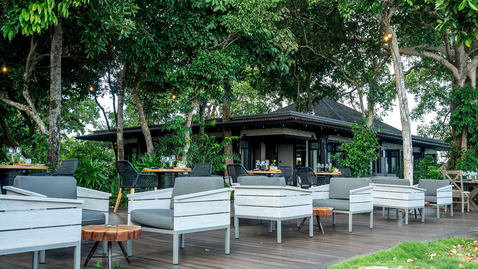 restaurants-tree-house