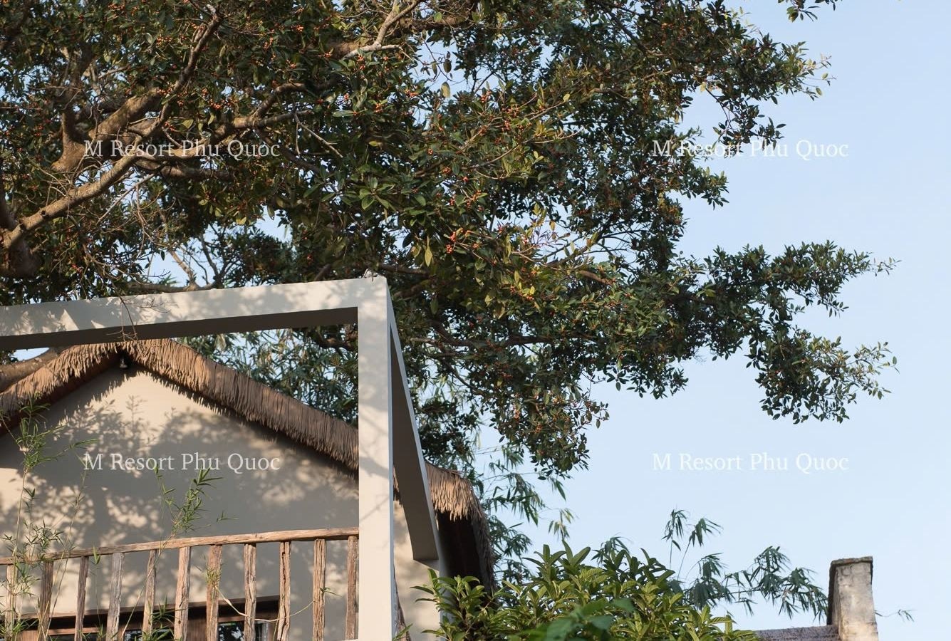 rooms-m-house-family