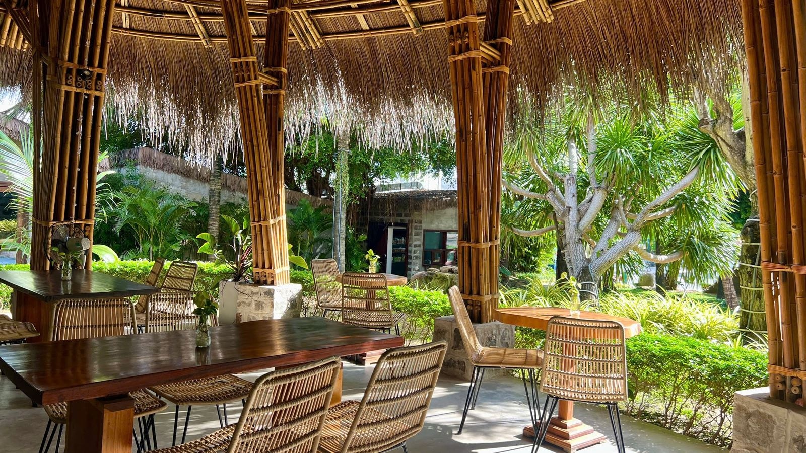 restaurants-m-restaurant