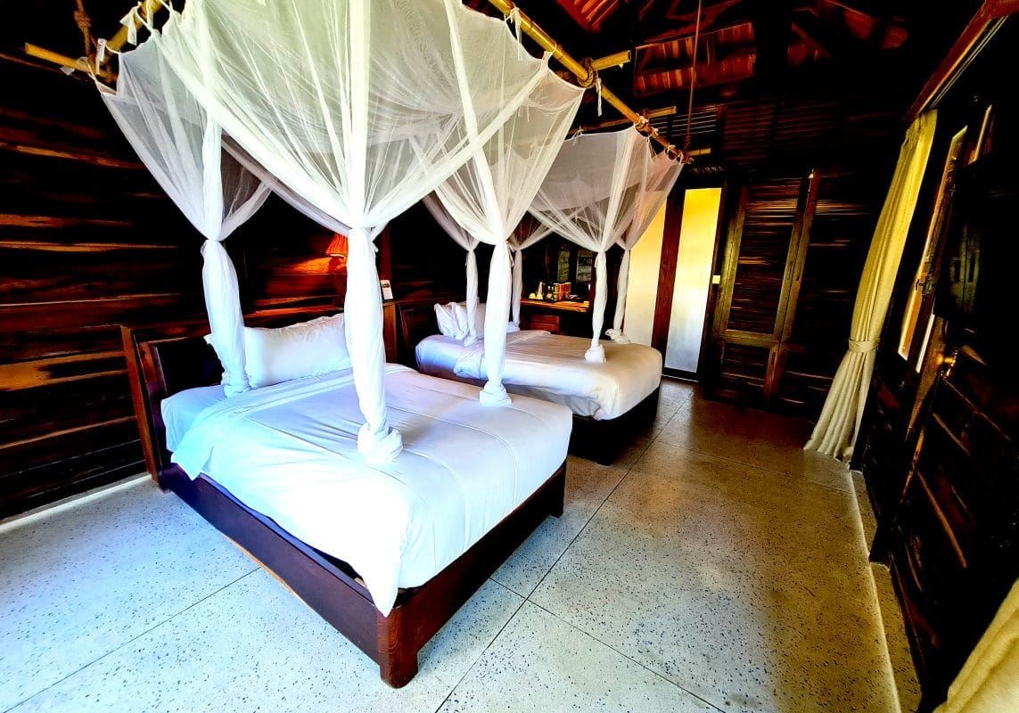 rooms-premium-jungle-bungalow