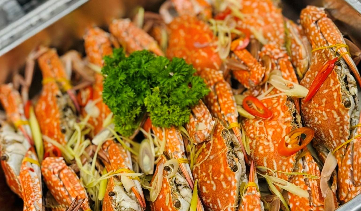 restaurants-stellar-restaurant