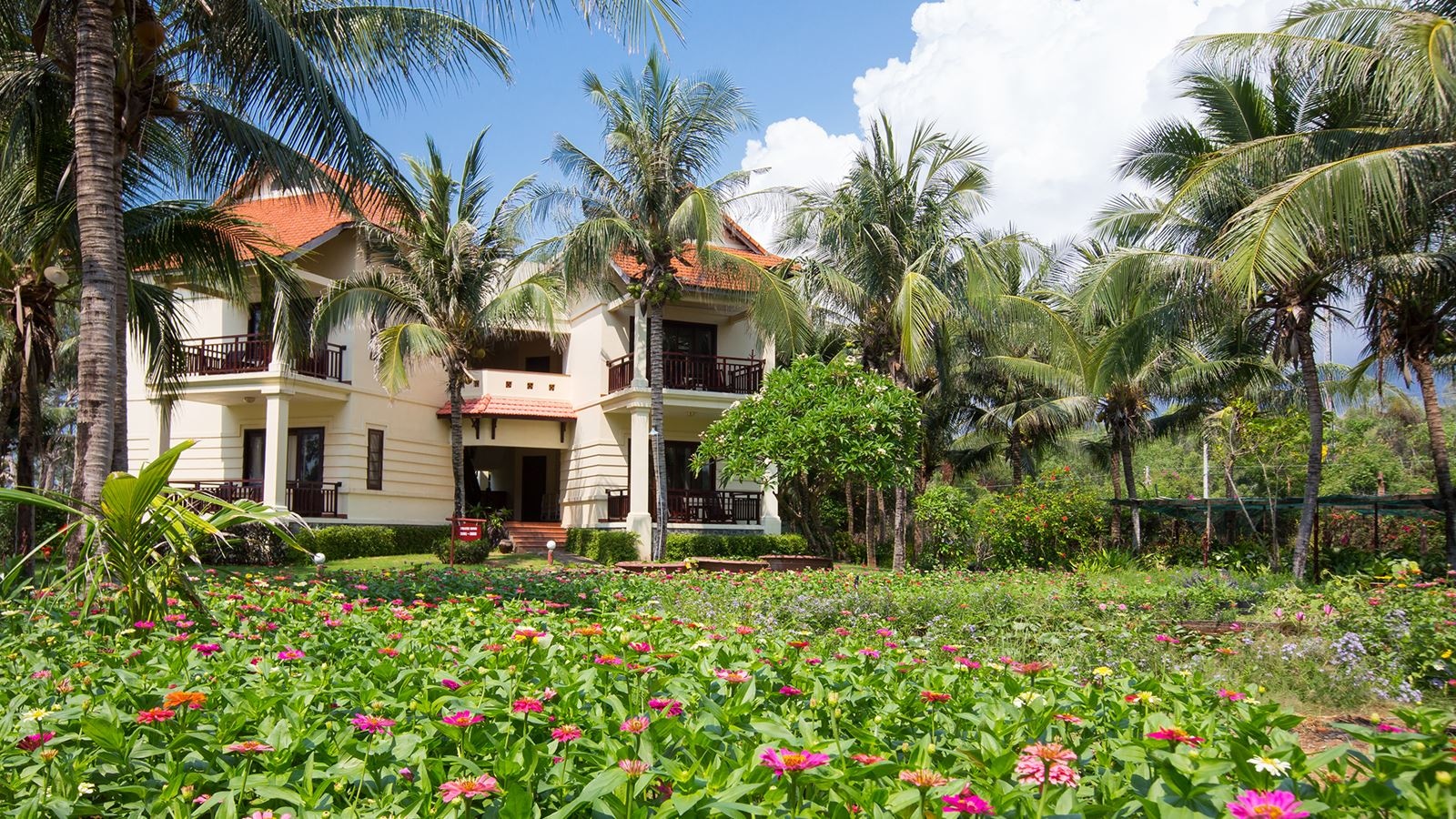 rooms-room-deluxe-seaview-balcony-child-without-extra-bed