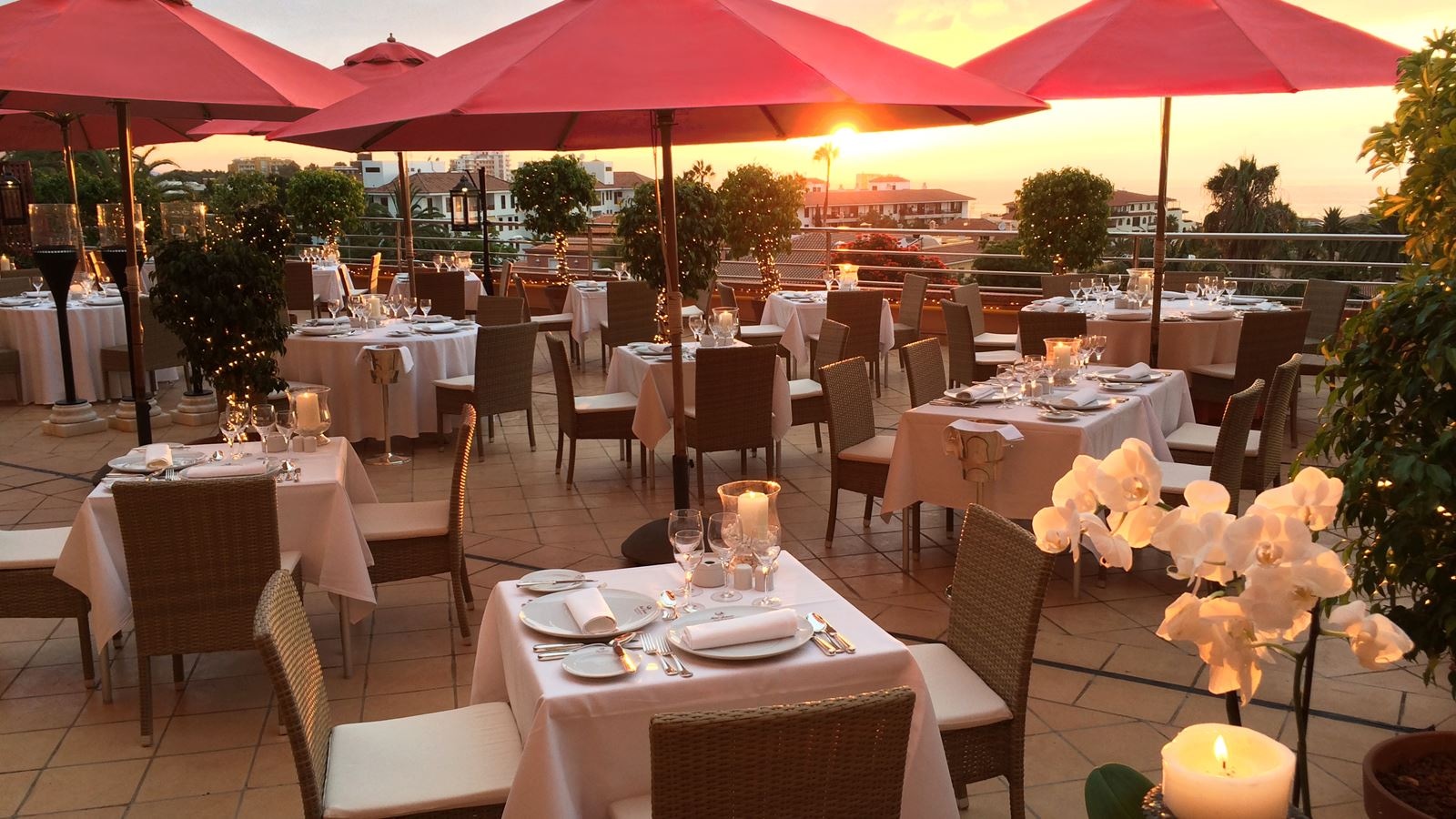 restaurants-il-pappagallo