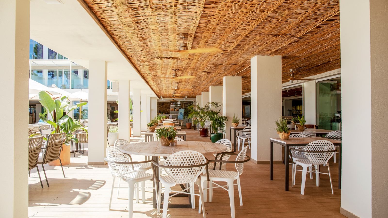 restaurants-bianco-mare