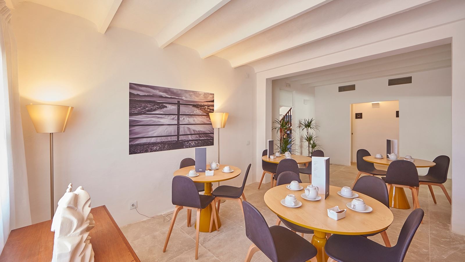 restaurants-snack-bar-saltco