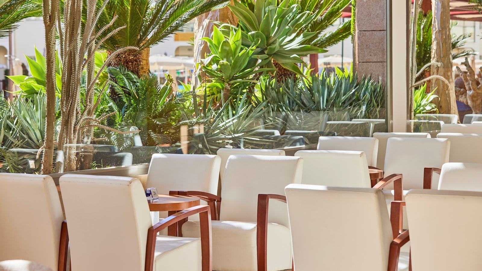 restaurants-el-patio-restaurant