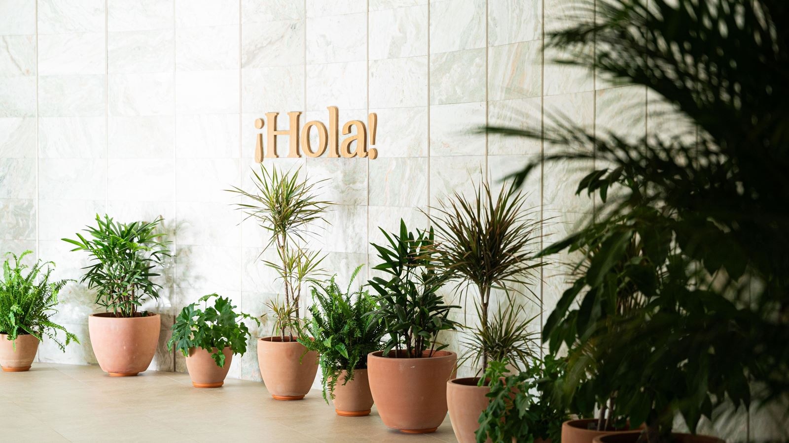 bars-tindaya-lounge-bar