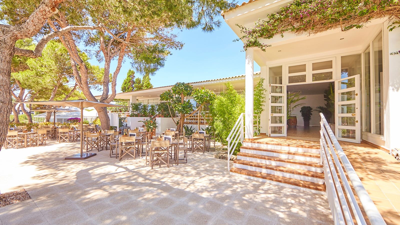 bars-snack-bar-saltco