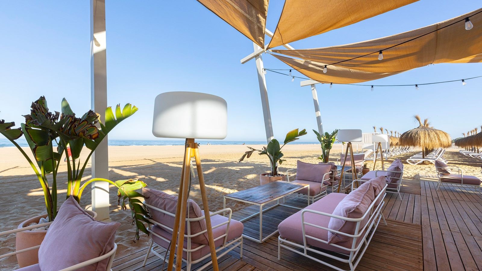 restaurants-pure-beach-club