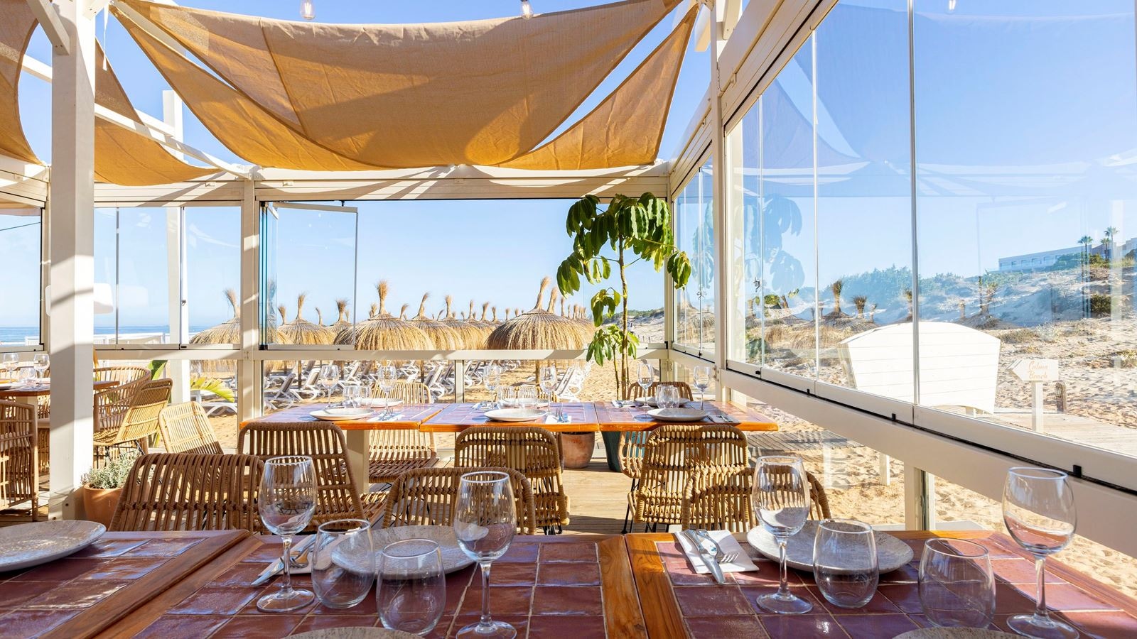 restaurants-pure-beach-club