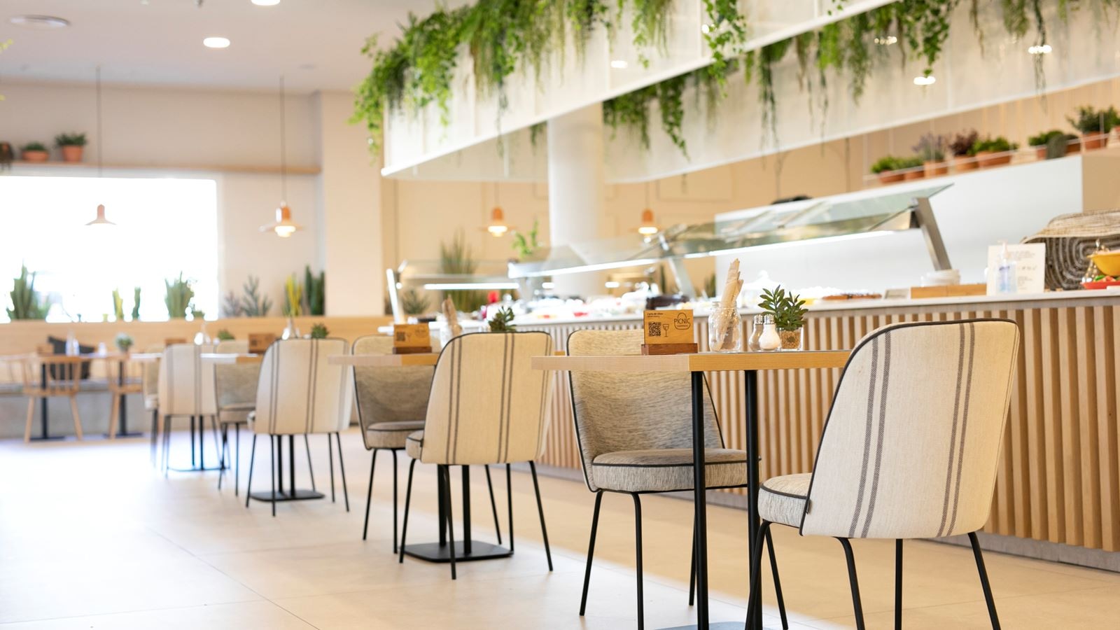 restaurants-picnic-casual-restaurant