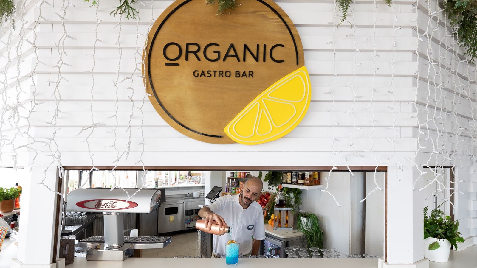 bars-organic-gastro-bar