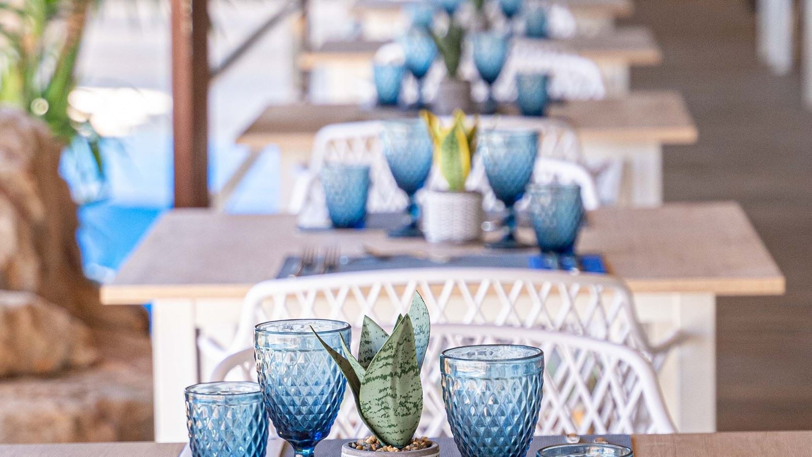 restaurants-natura-olea-restaurant