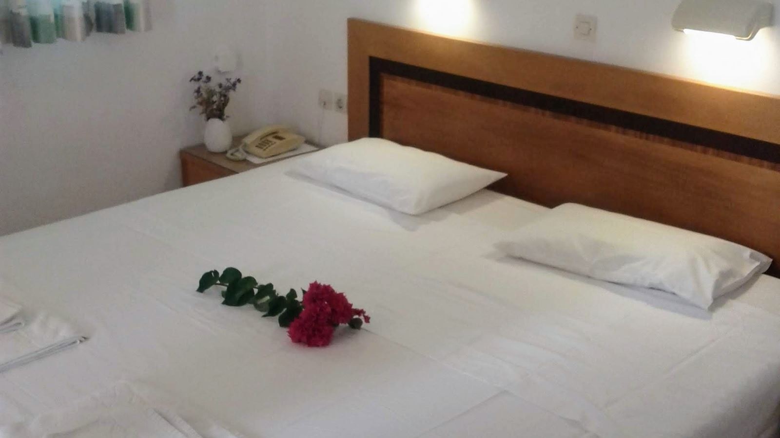 rooms-apartment-1-bedroom-gardenview