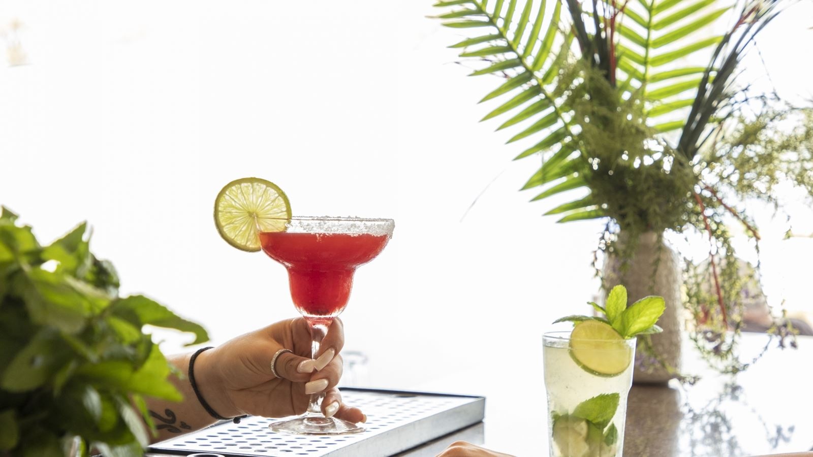 bars-pavillion-pool-bar