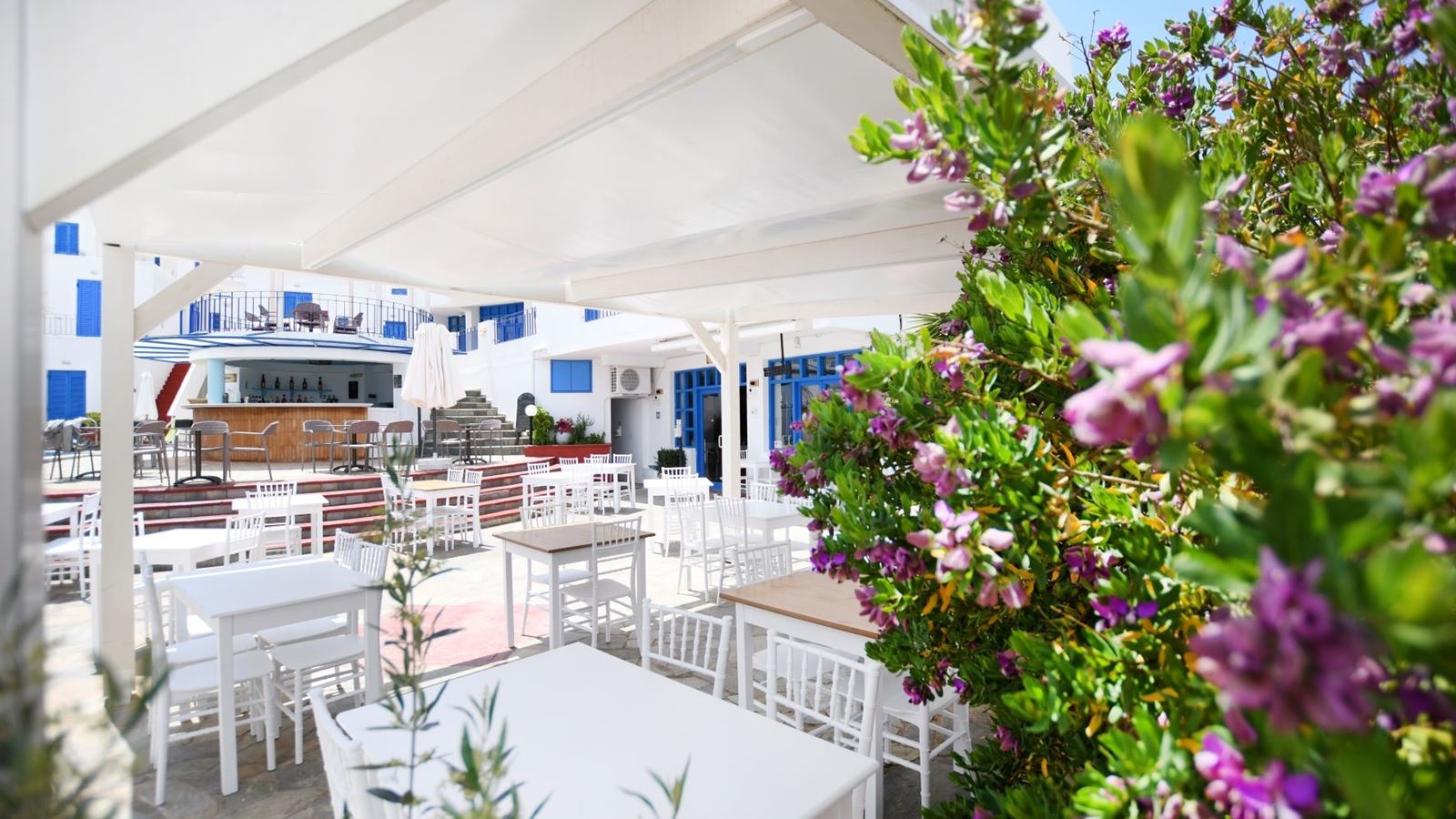 restaurants-main-restaurant