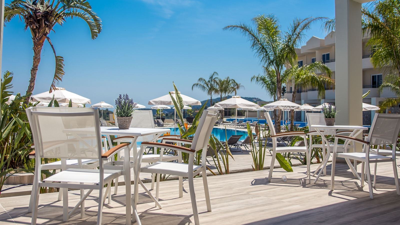 bars-blue-lagoon-bar