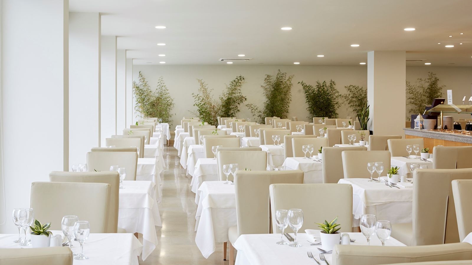 restaurants-androniki-main-restaurant