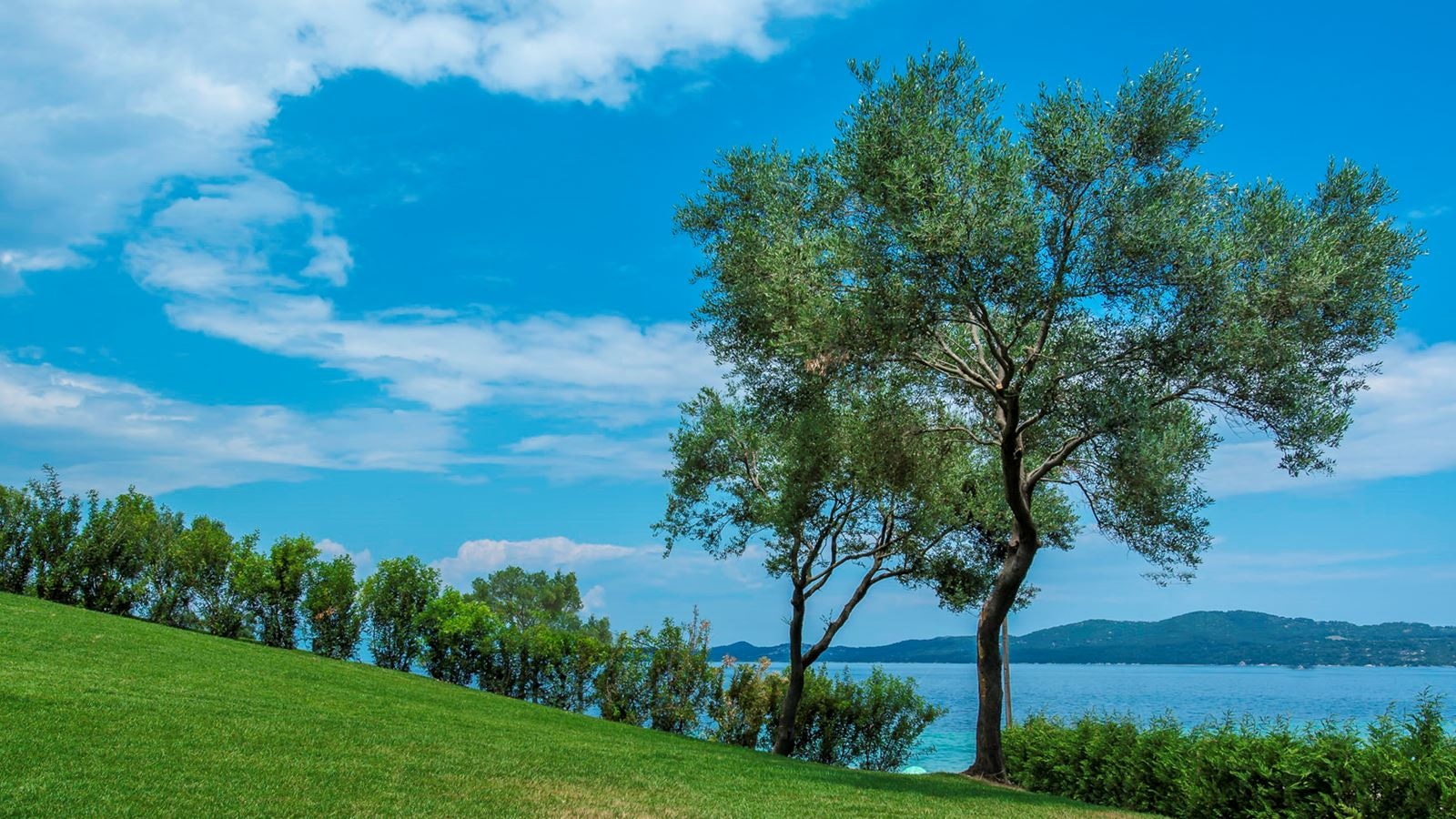 rooms-presidential-suite-with-private-pool--garden