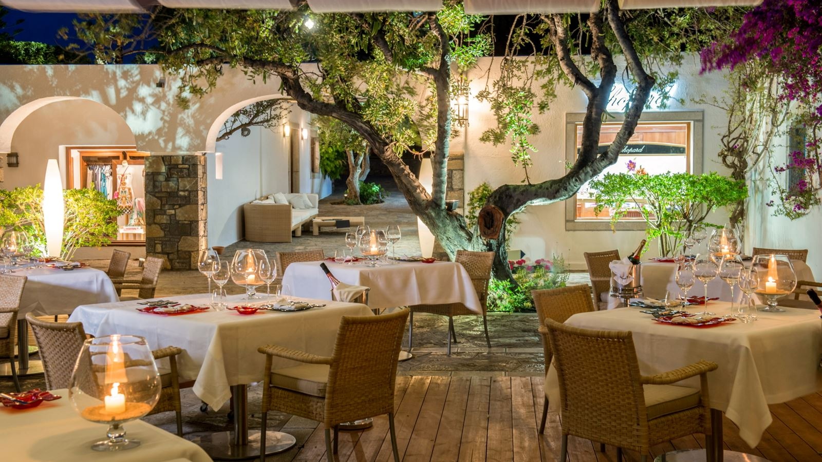 restaurants-dionysos