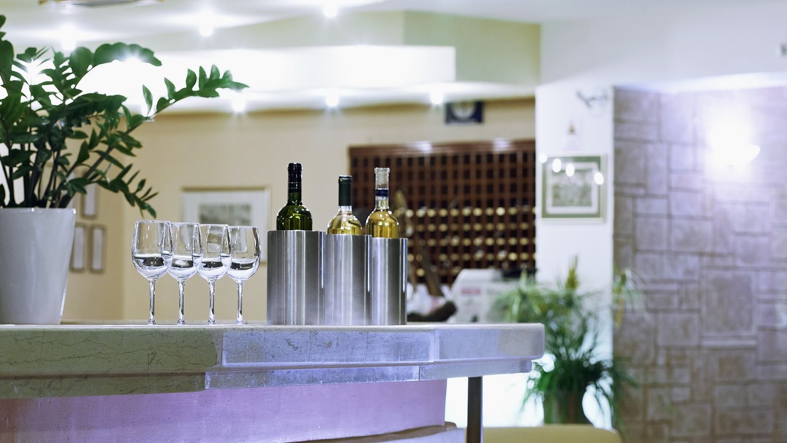 bars-veranda-lobby-bar