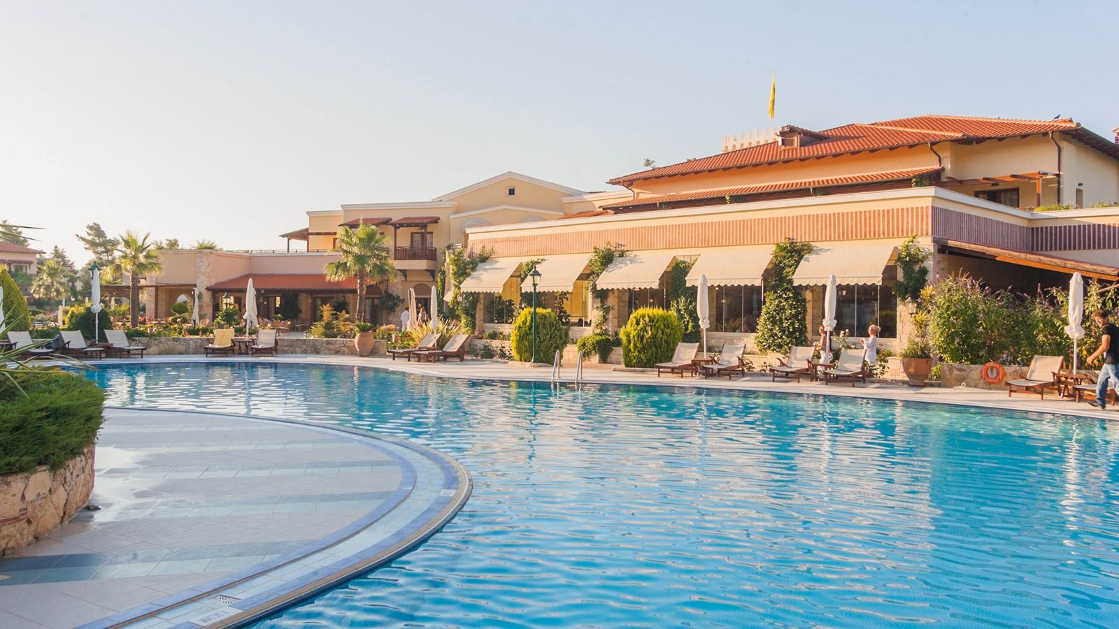 bars-dolphin-pool-bar