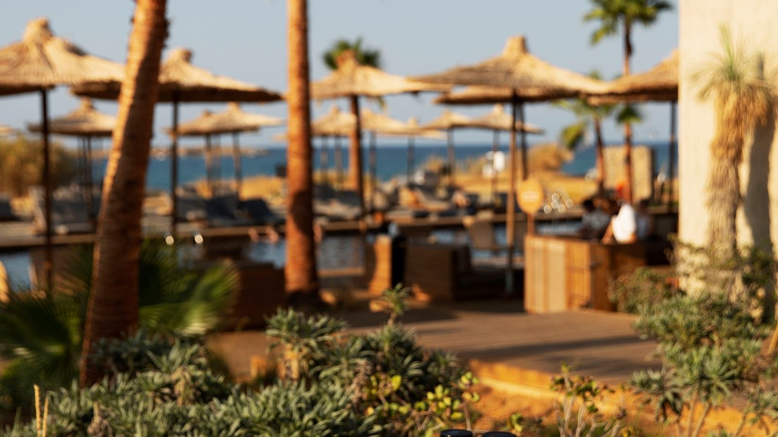 restaurants-enino-gastronomy-restaurant