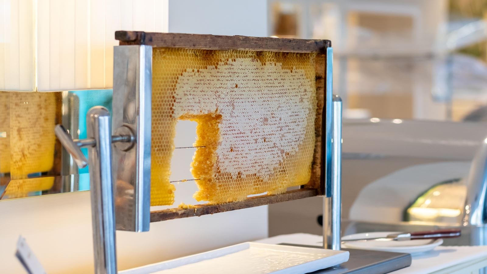 restaurants-main-restaurant