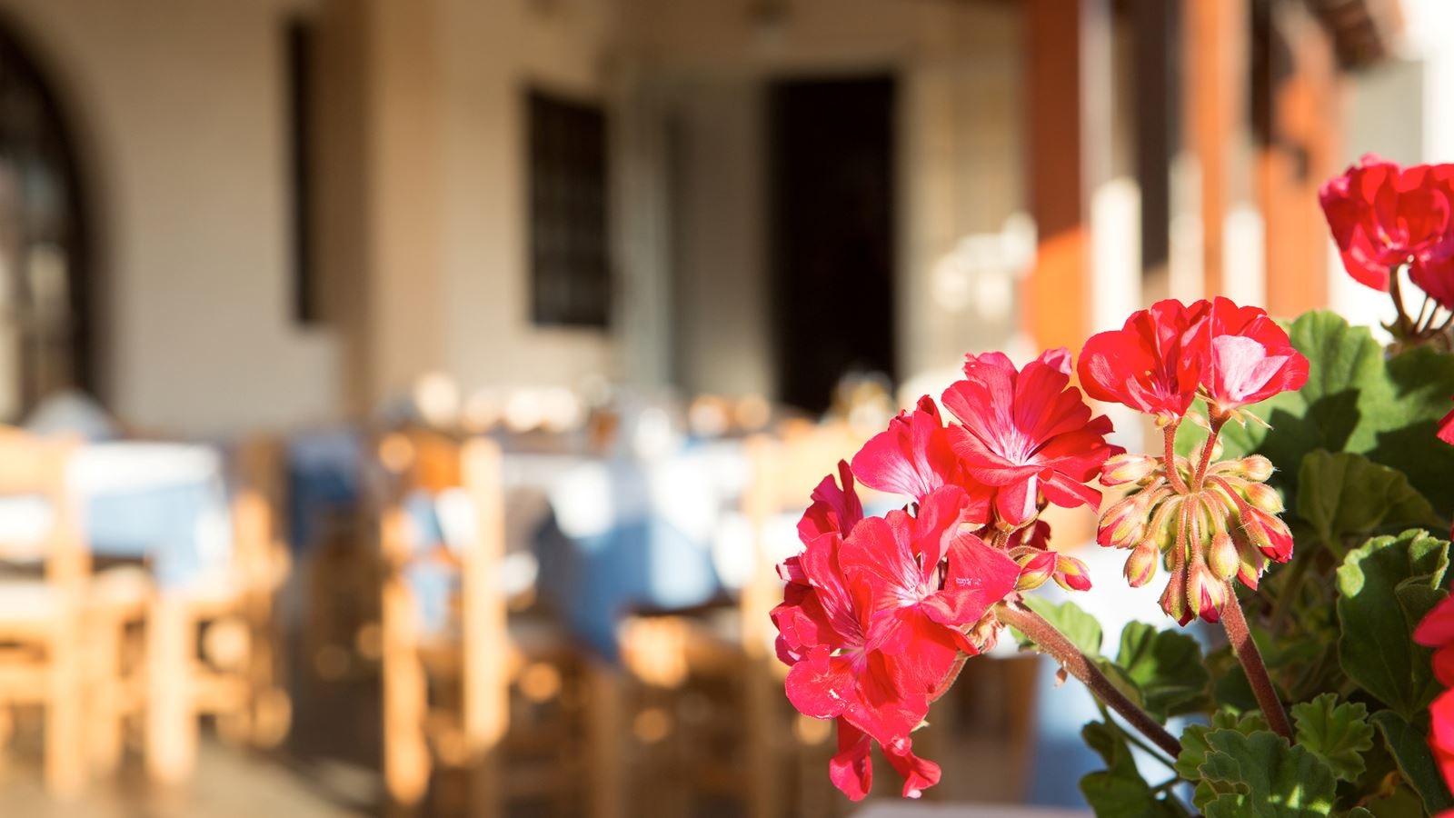 general-annex-building