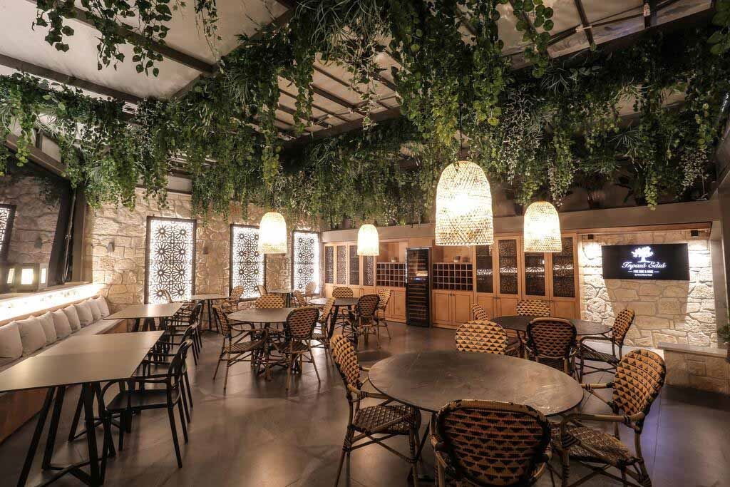 restaurants-girea-elia