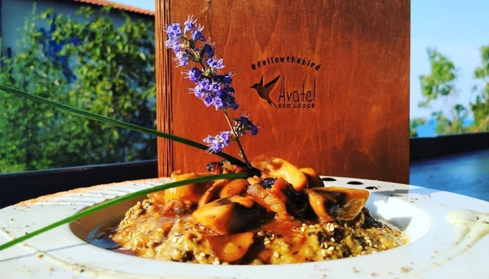 restaurants-the-bird