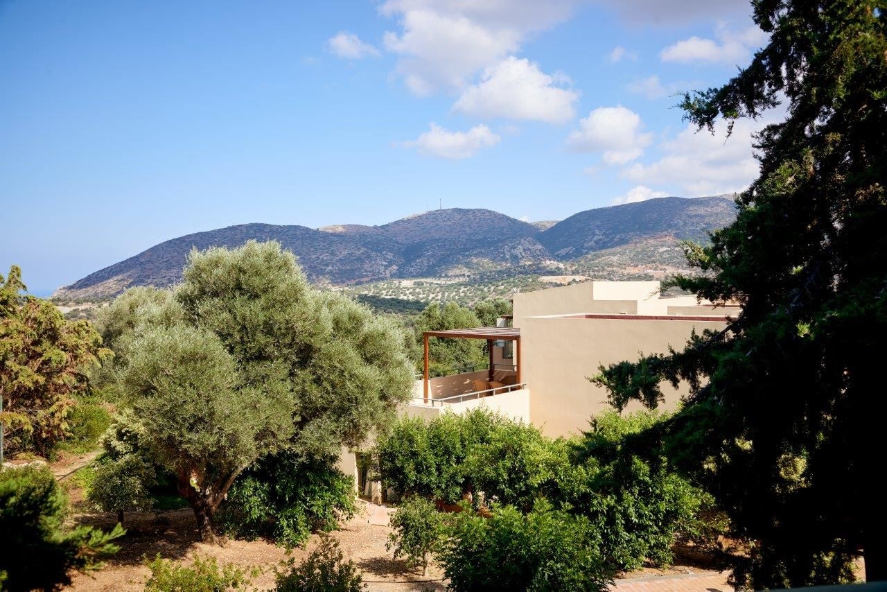 rooms-junior-suite-with-kitchenette