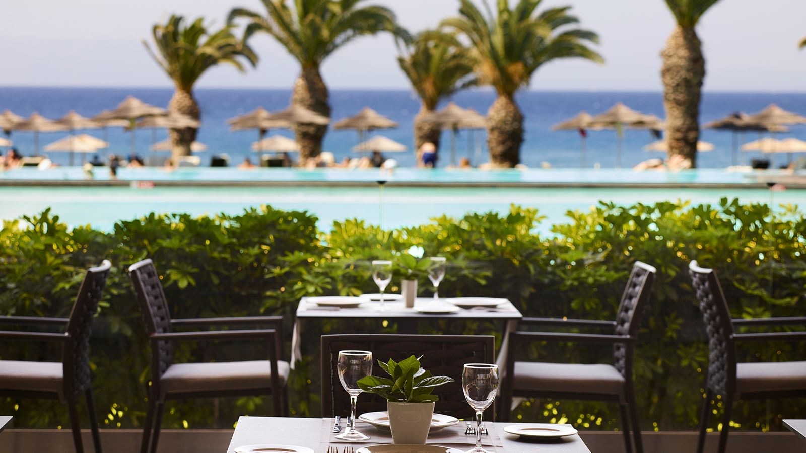 restaurants-vis-a-vis-main-buffet-restaurant