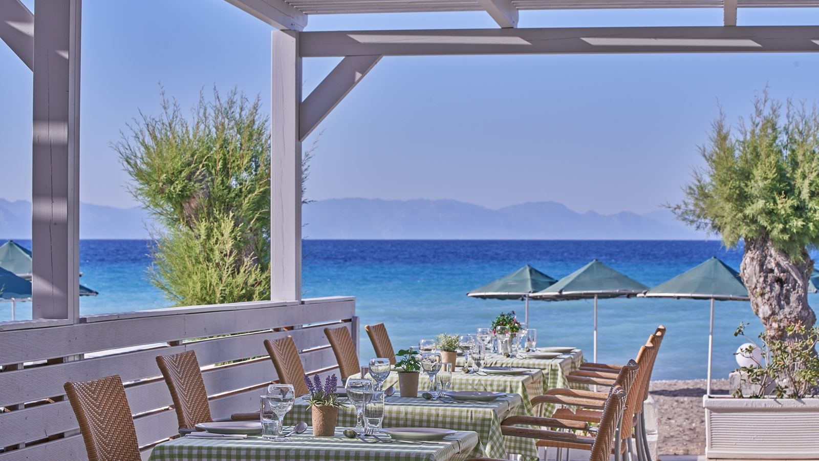 restaurants-il-gusto