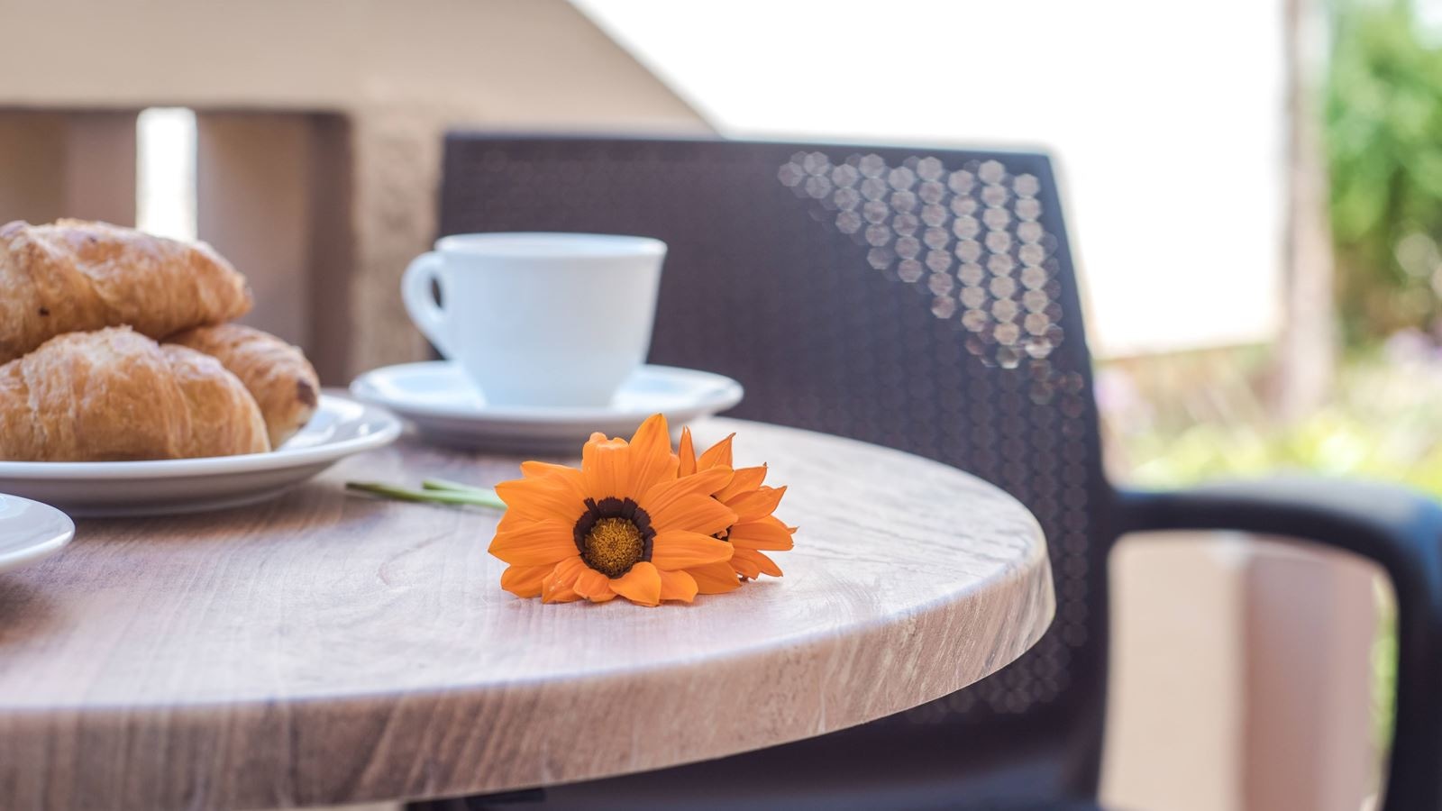 rooms-double-studio-garden-view