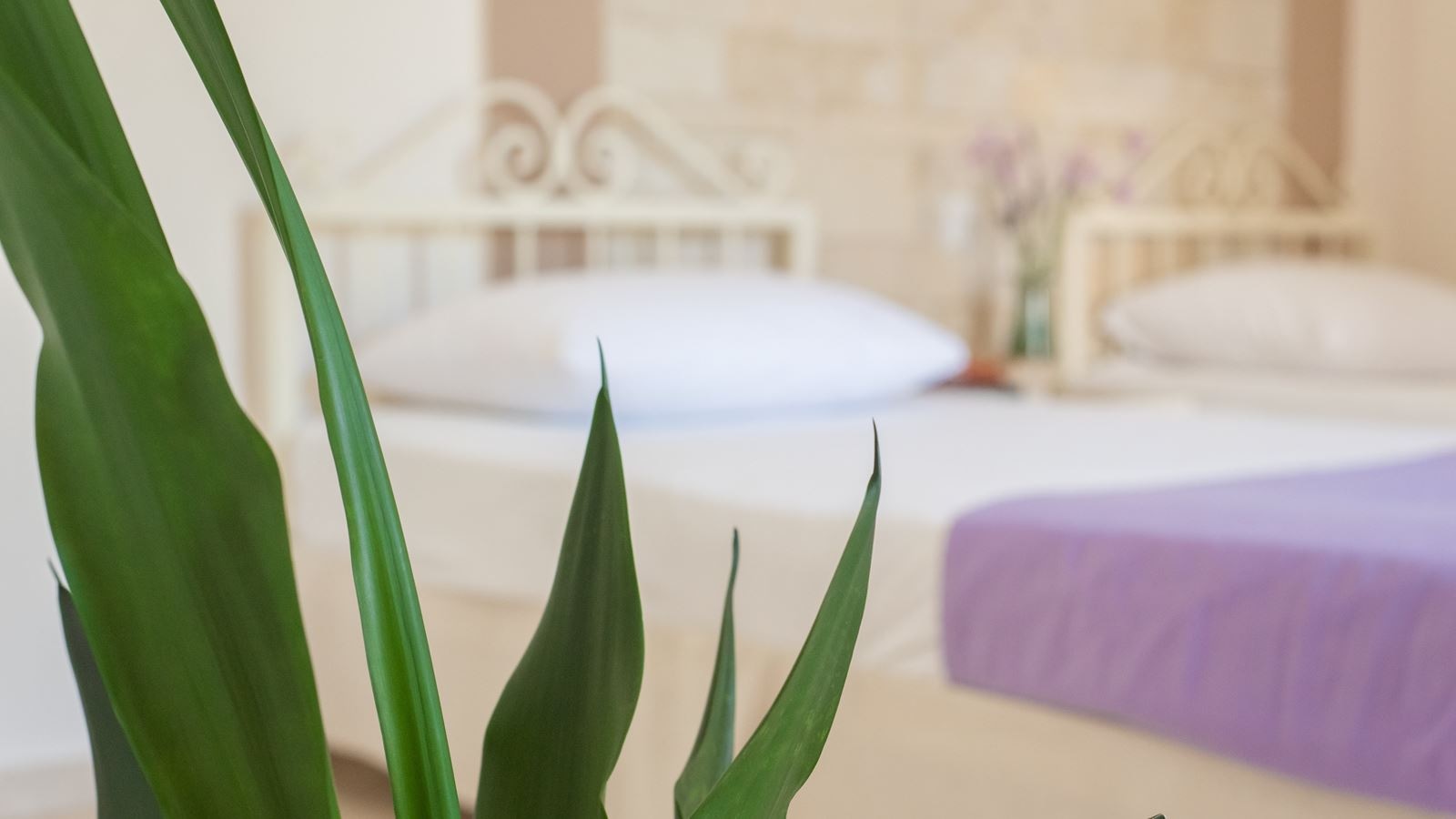 rooms-double-studio-garden-view