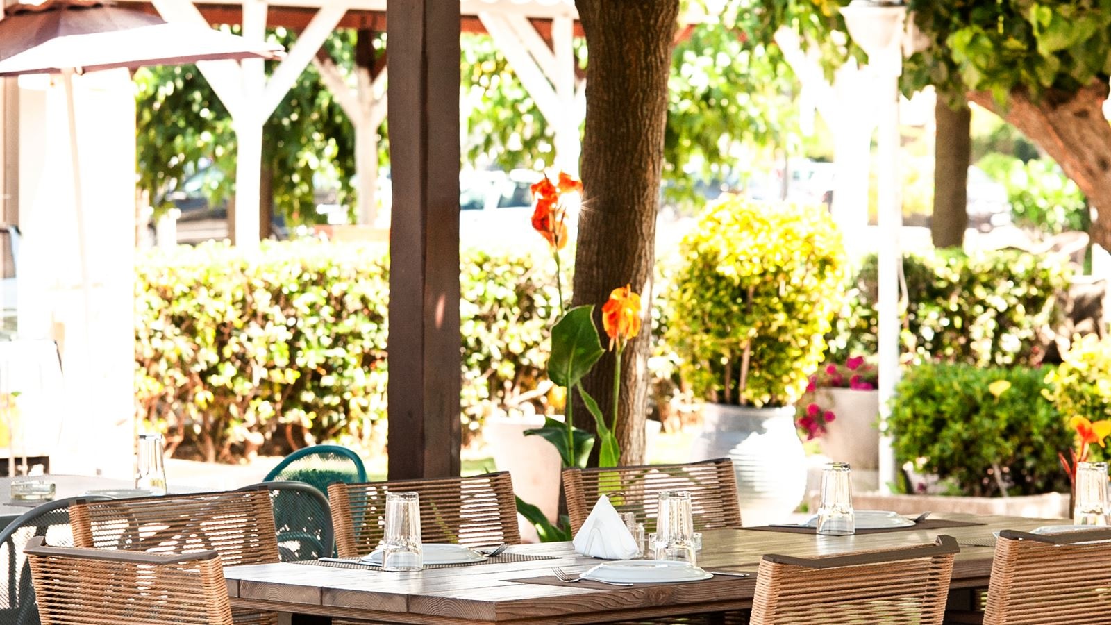 restaurants-akti-restaurant