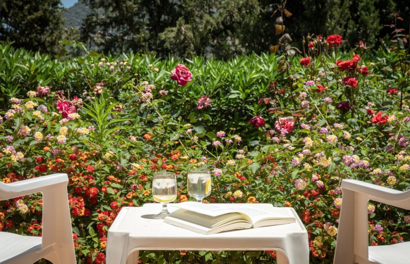 rooms-twin-garden-view