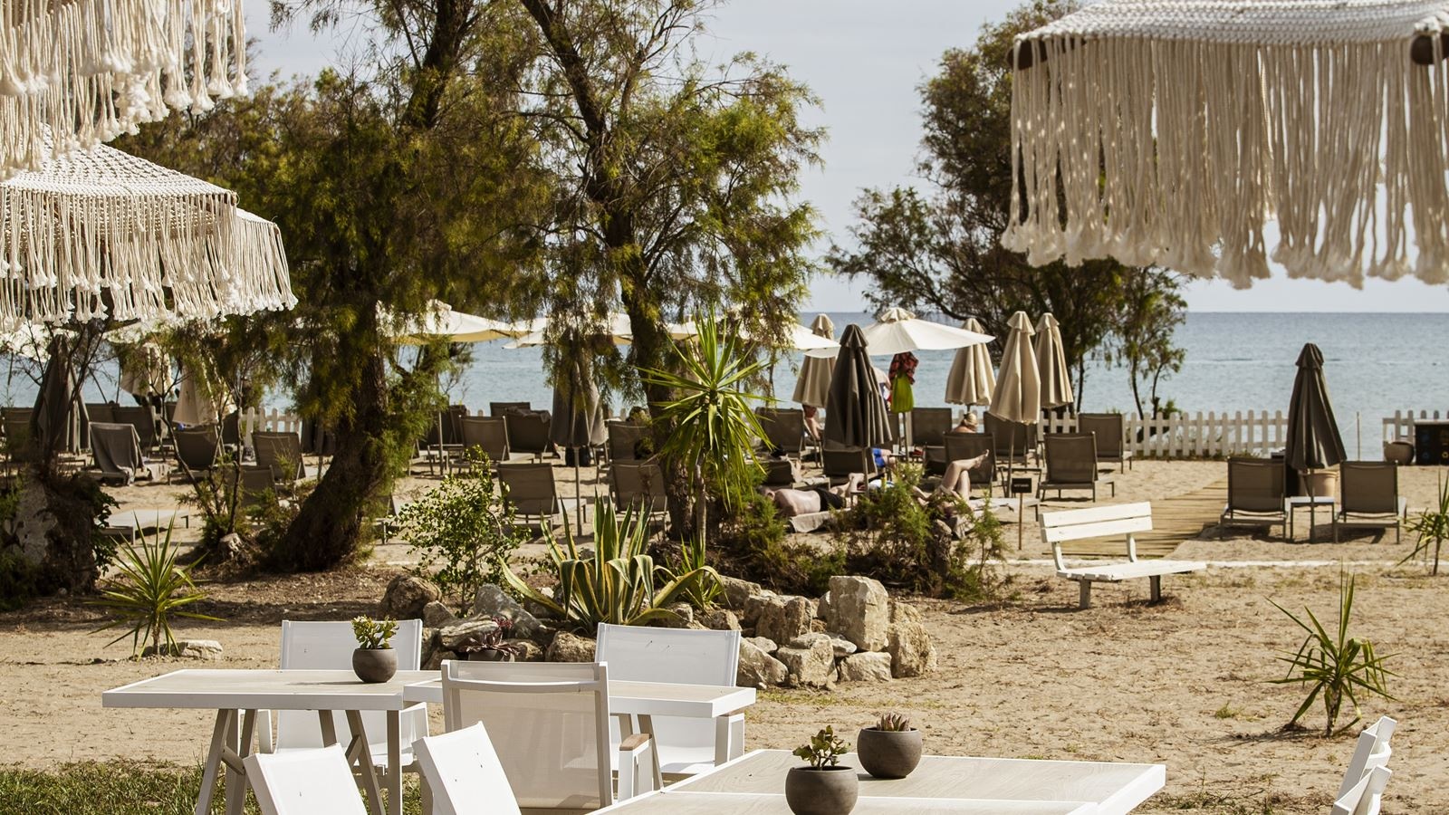 restaurants-πιτα-canteen