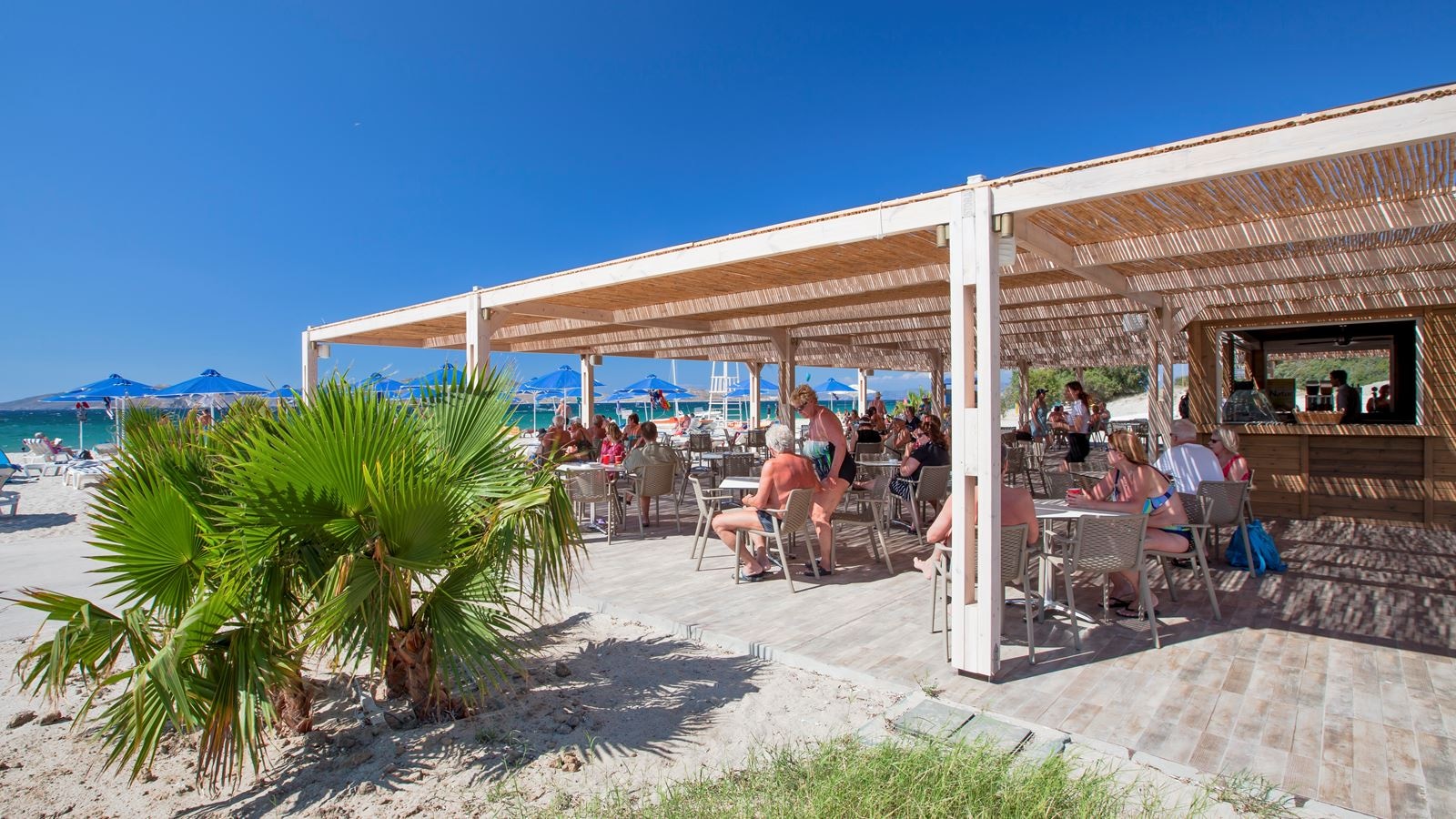 bars-beach-bar