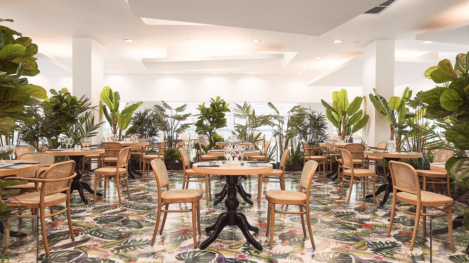 restaurants-david-s-hall